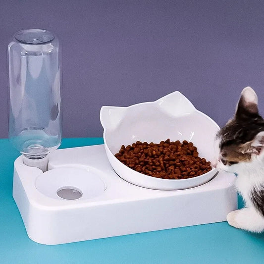 Tilted Pet Bowl Feeder